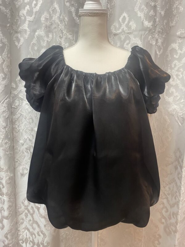 Puff Short Sleeve Organza Top